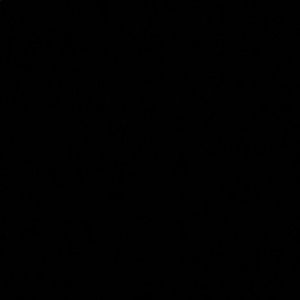 Meet your Posher, Dan